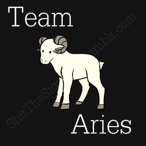 Team-Aries-aries-32660116-500-500